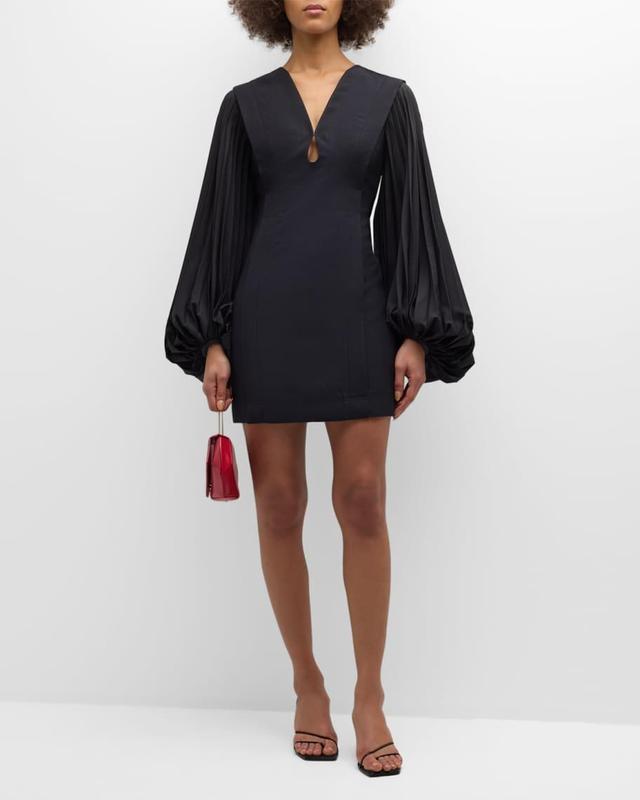 Theodore Long-Sleeve Mini Dress  Product Image