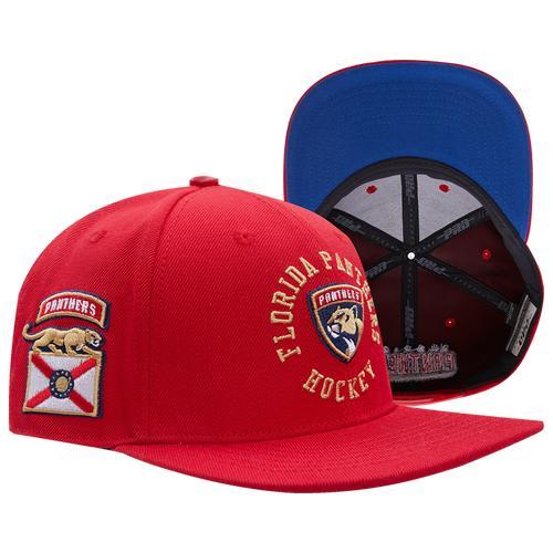 Pro Standard Mens Pro Standard Panthers Hybrid Snapback Cap - Mens Product Image