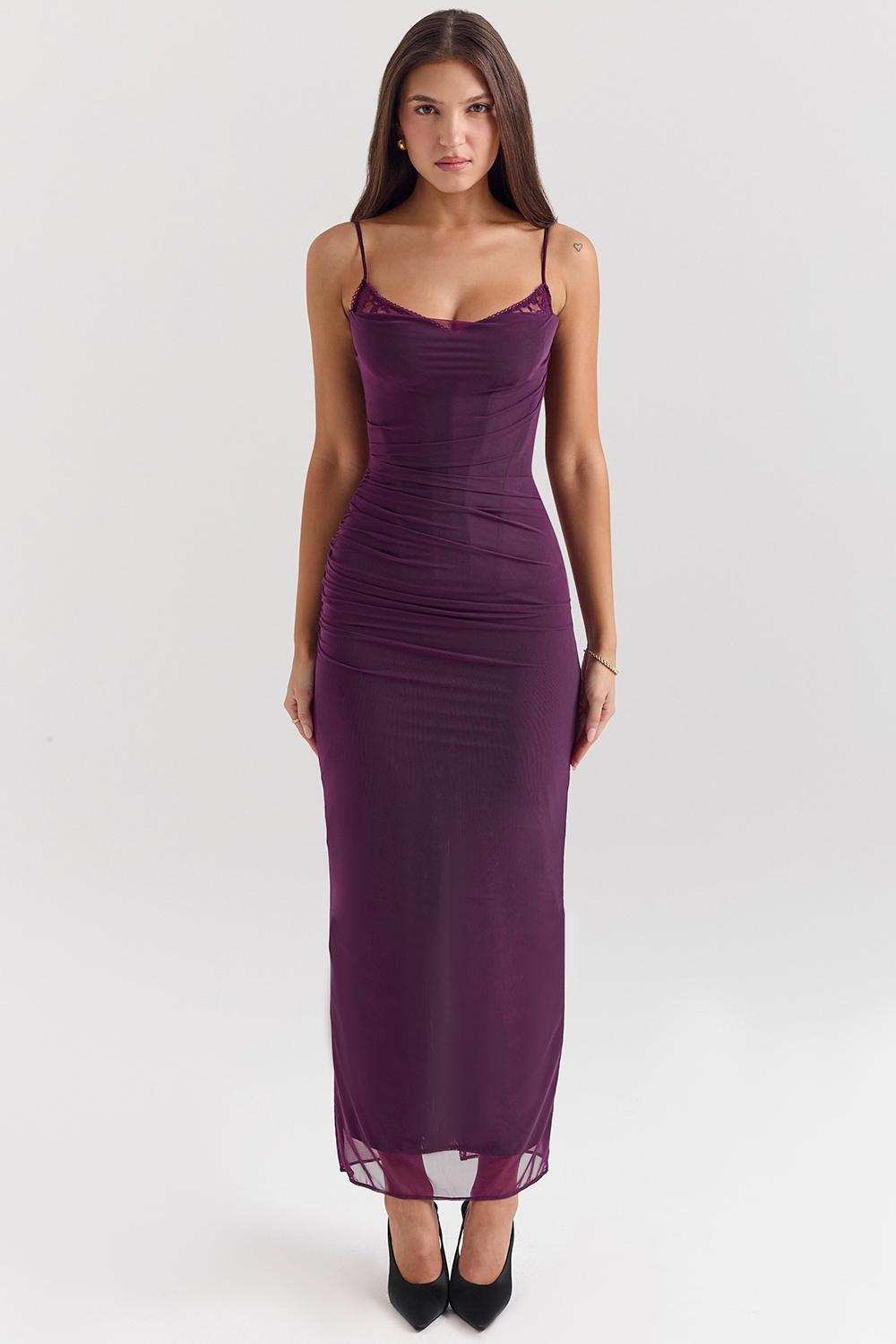 Nalini Grape Mesh Corset Maxi Dress Product Image