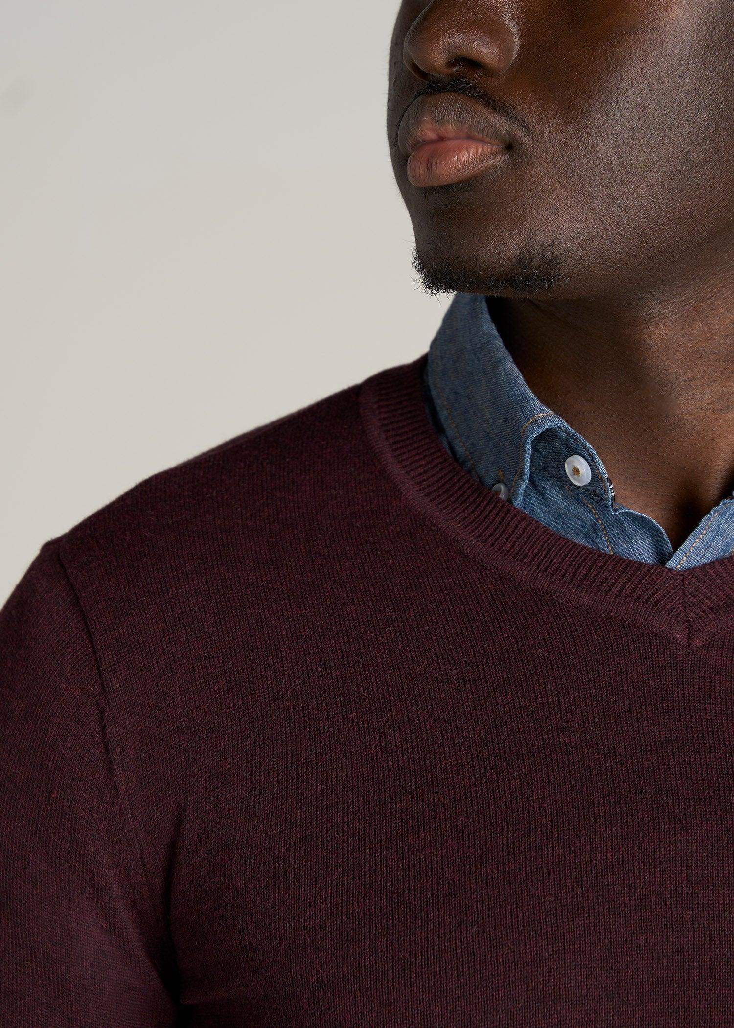 Everyday V-Neck Tall Men's Sweater in Burgundy Mix Male Product Image