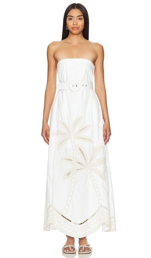 Maxi Dress Product Image