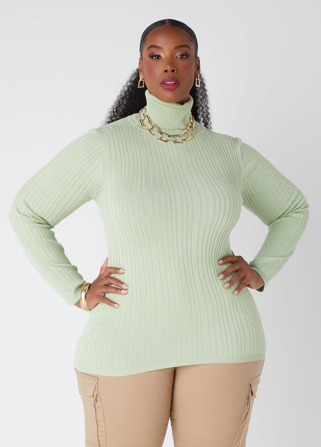 Ribbed Pullover Turtleneck Sweater Product Image