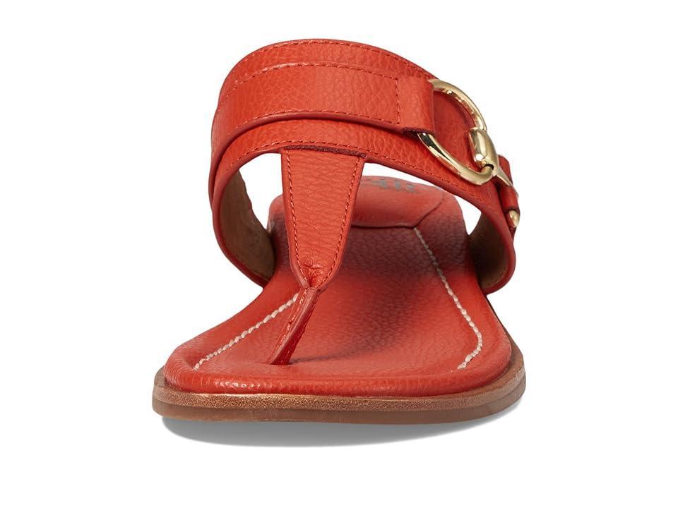 Sofft Fernanda Coral) Women's Sandals Product Image