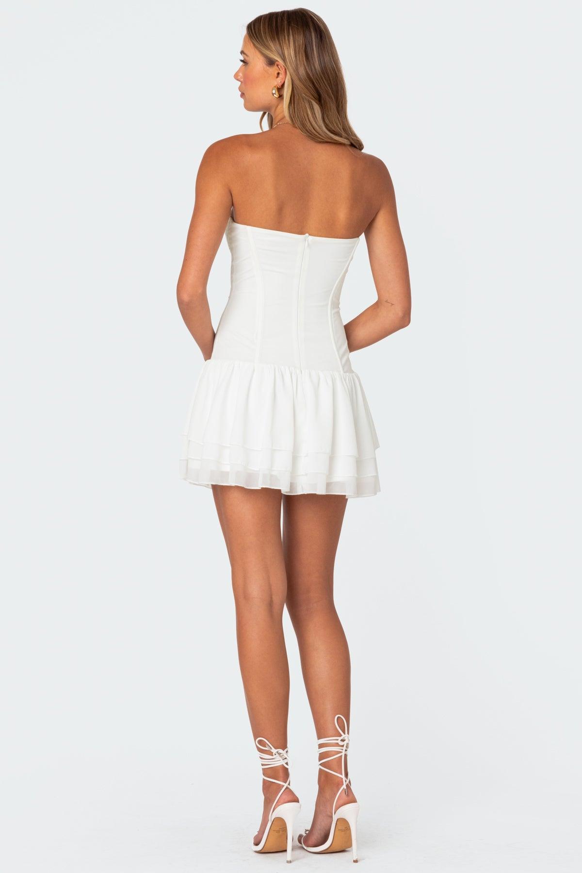 Mesh & Chiffon Corset Mini Dress Product Image