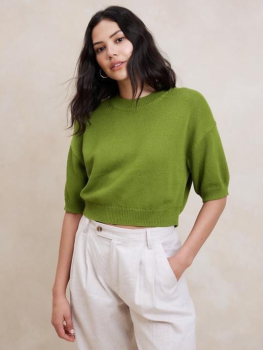 Chunky Pullover Cropped Sweater Product Image