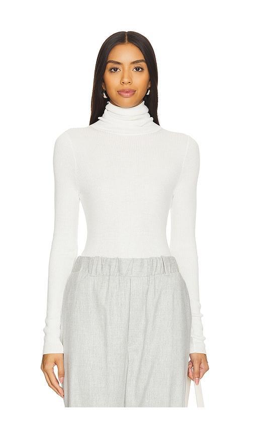 Silk Sweater Rib Turtleneck Product Image