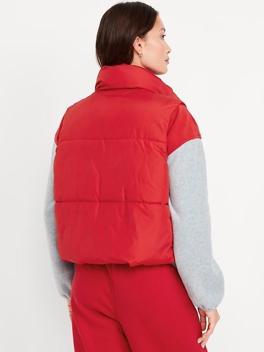 Quilted Puffer Vest Product Image