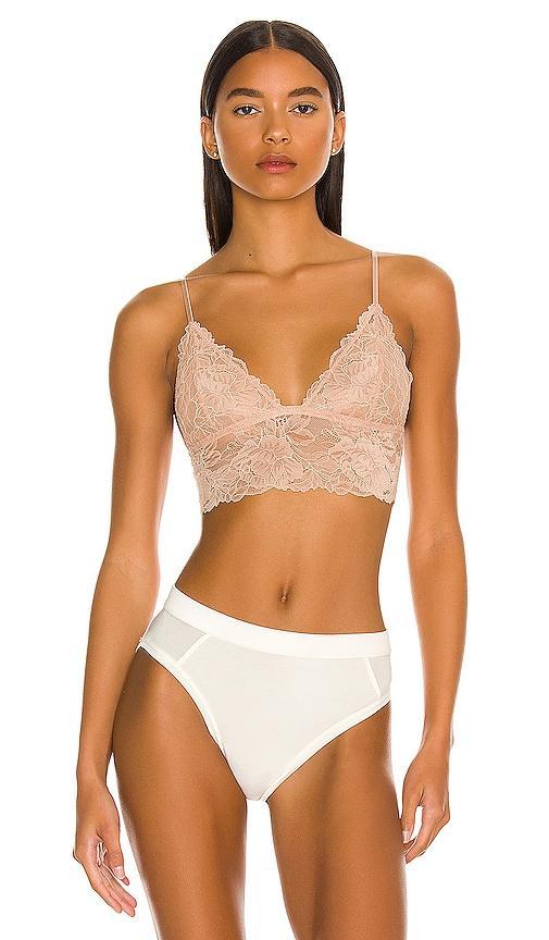 Everyday Lace Longline Bra Product Image