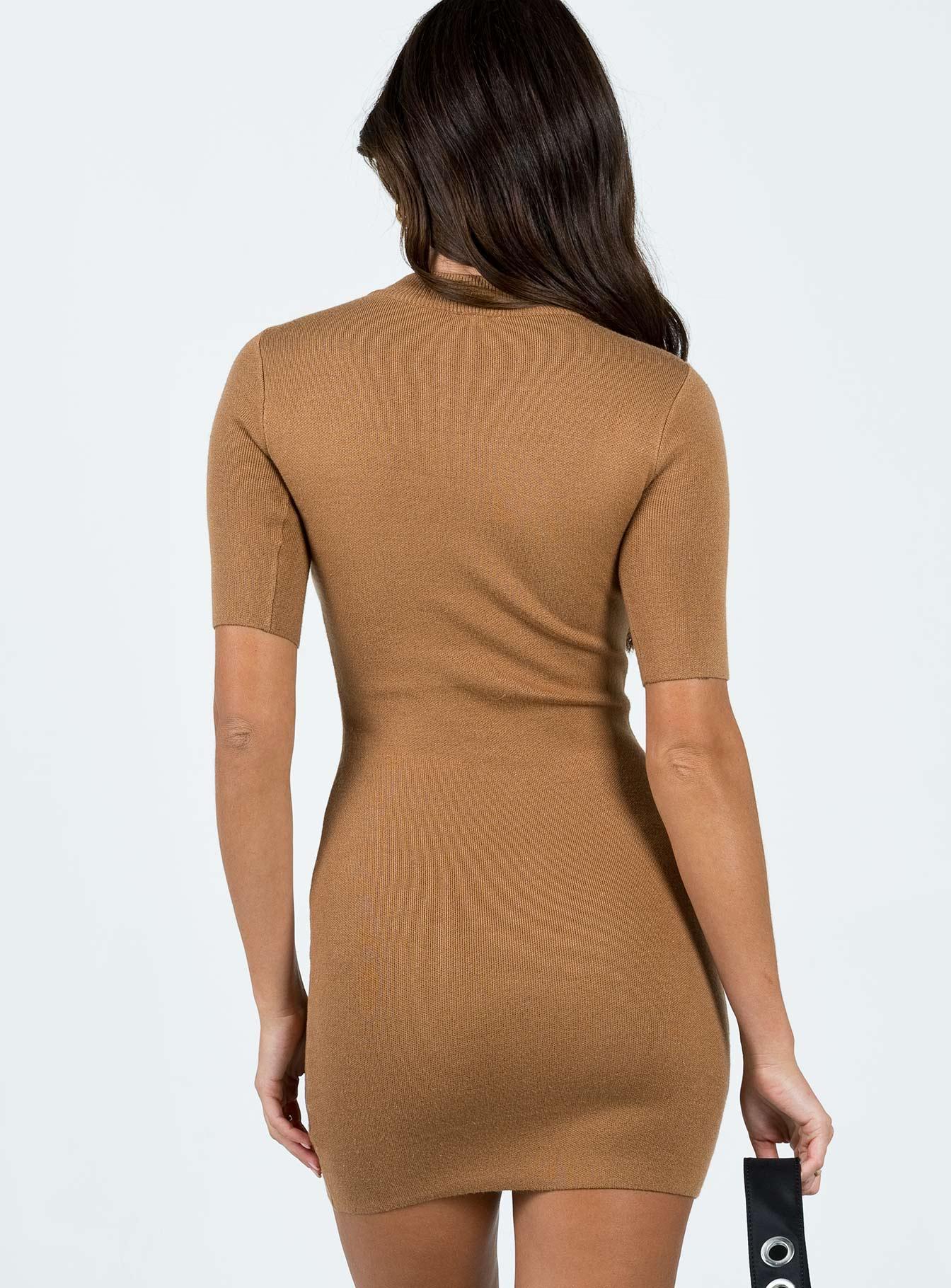 Navine Mini Dress Brown Product Image