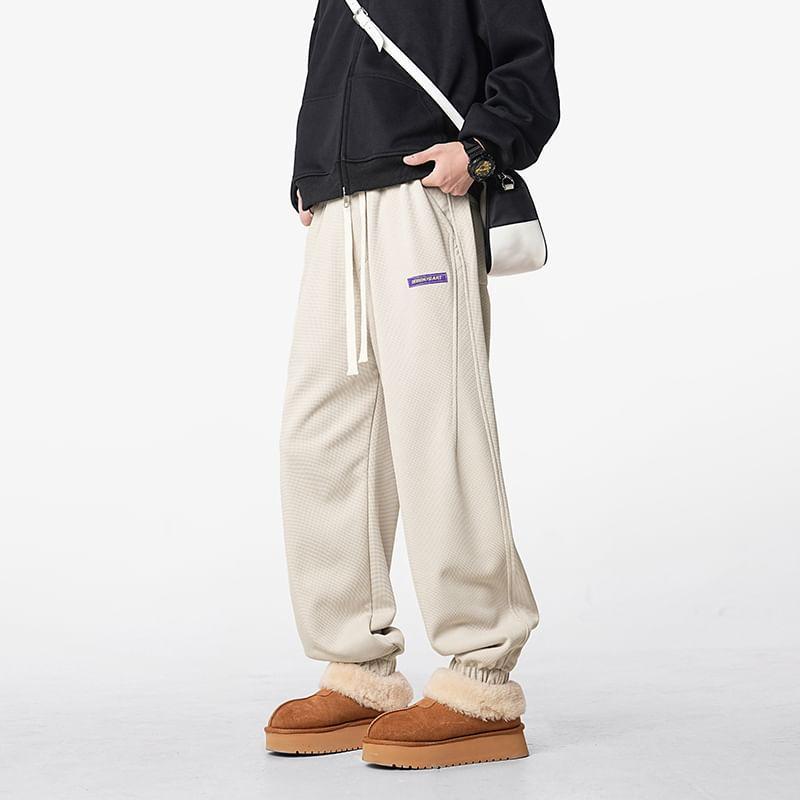 Drawstring Waist Plain Fleece-Lined Straight Leg Sweatpants Product Image