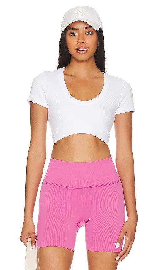 Alo Serene Rib Crop Top Product Image