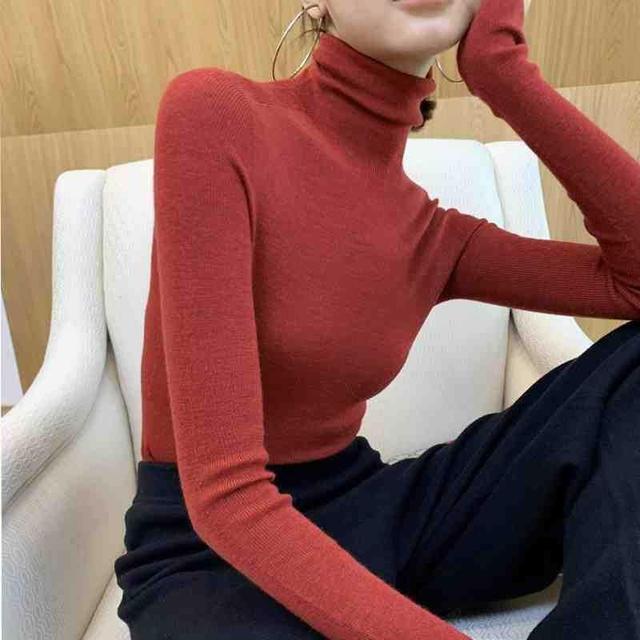 Turtleneck Plain Knit Top in 12 Colors Product Image