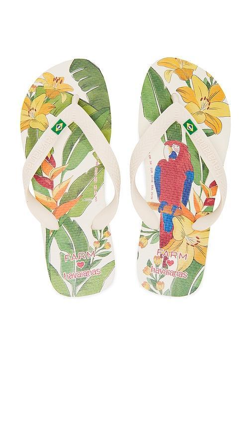 Farm Rio Parrot and Floral Sandal Product Image