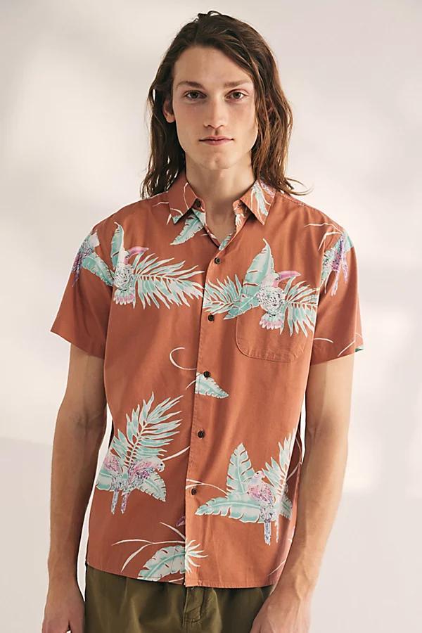 Katin Paradise Tropical Print Short Sleeve Button-Down Shirt Top Mens at Urban Outfitters Product Image