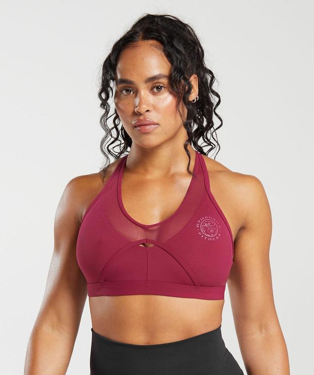 Legacy T-Bar Sports Bra Product Image