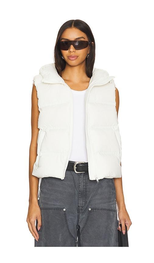 Jacquard Channel Cropped Puffer Vest Product Image