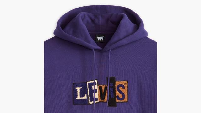 Levi's® Skateboarding™ Hooded Sweatshirt Product Image