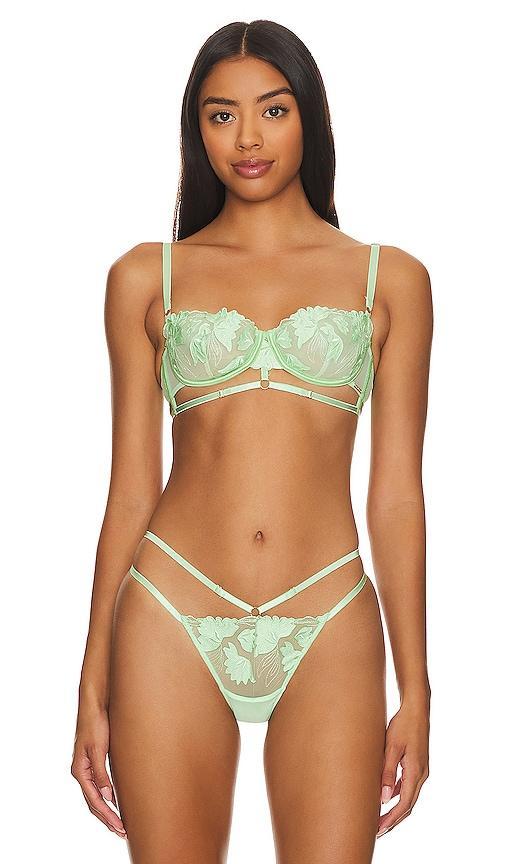 Isla Wired Bra Product Image