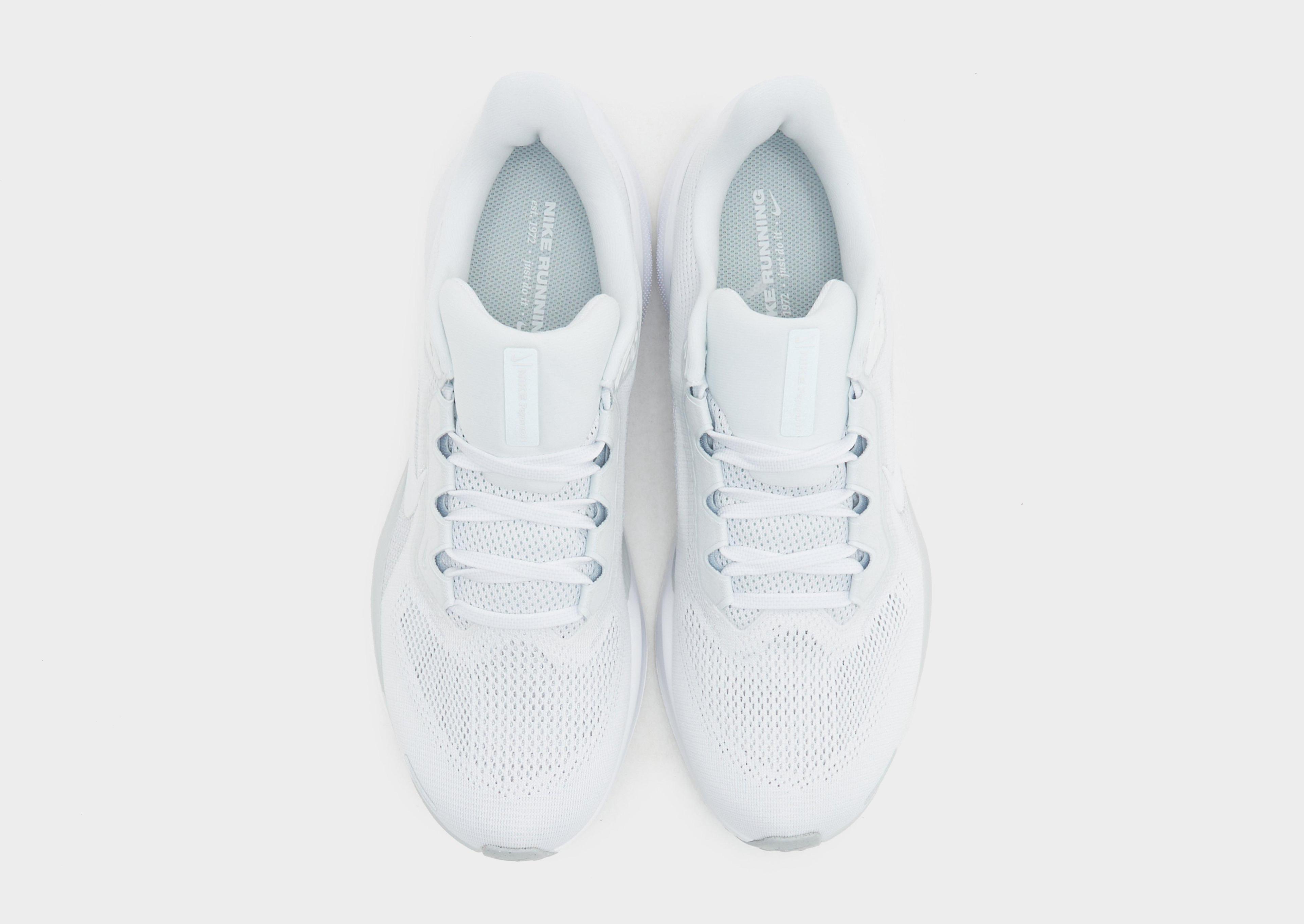 Nike Pegasus 41 Product Image