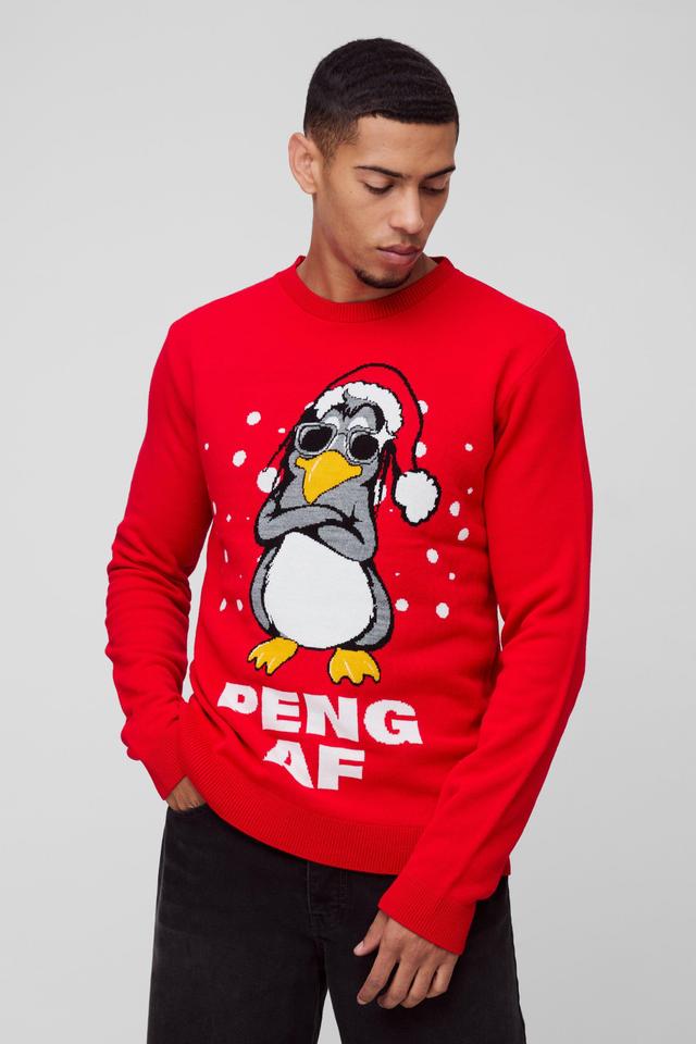 Regular Fit Peng Knitted Christmas Jumper | boohooMAN USA Product Image