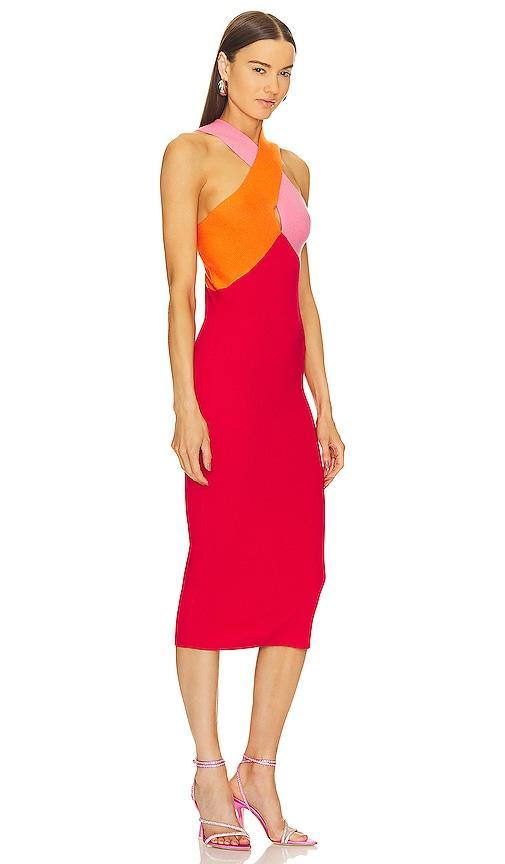 Le Superbe Dragon Fruit Dress in Red. Size M, XS. Product Image