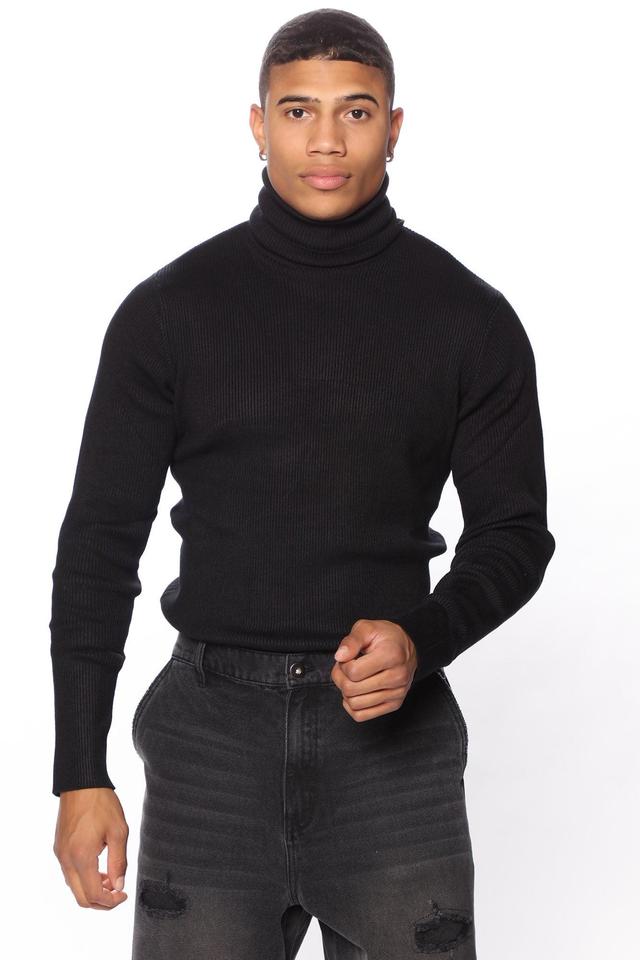 Viscose Ribbed Turtleneck - Black Product Image