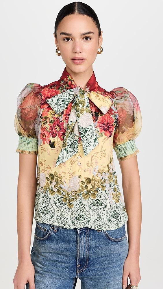 alice + olivia Brentley Blouse | Shopbop Product Image