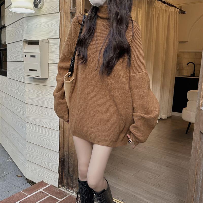 Long-Sleeve Turtleneck Plain Sweater Product Image