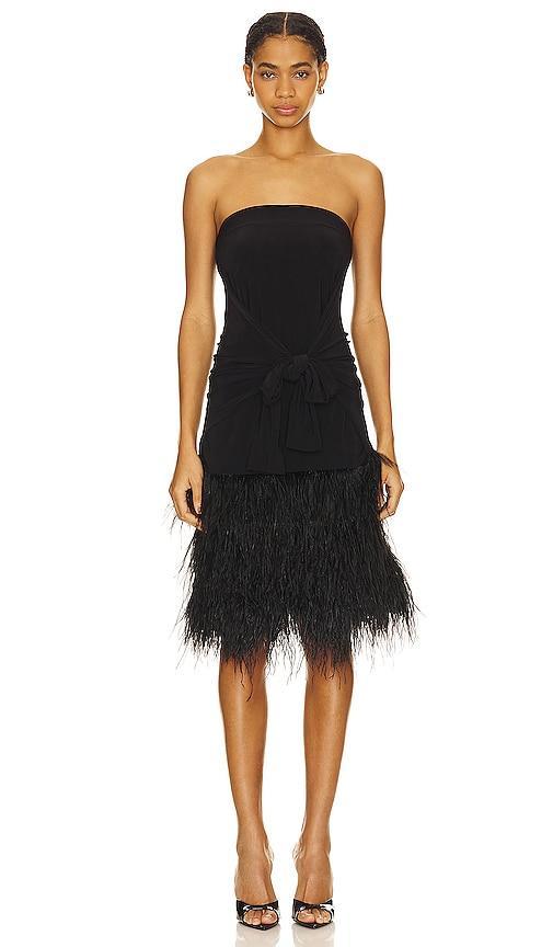 Feather All In One Mini Dress Product Image