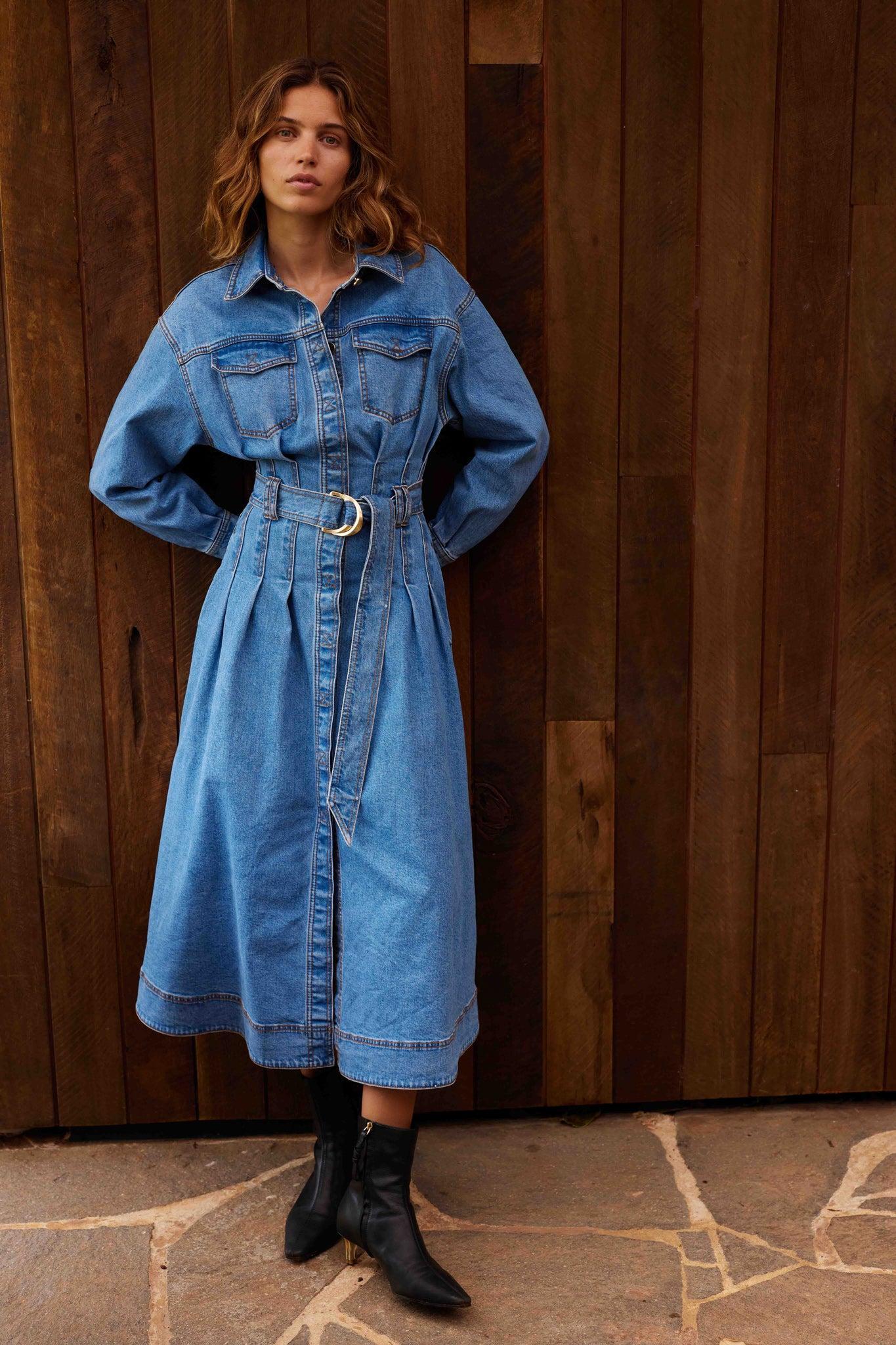 Aradia Denim Midi Dress Product Image