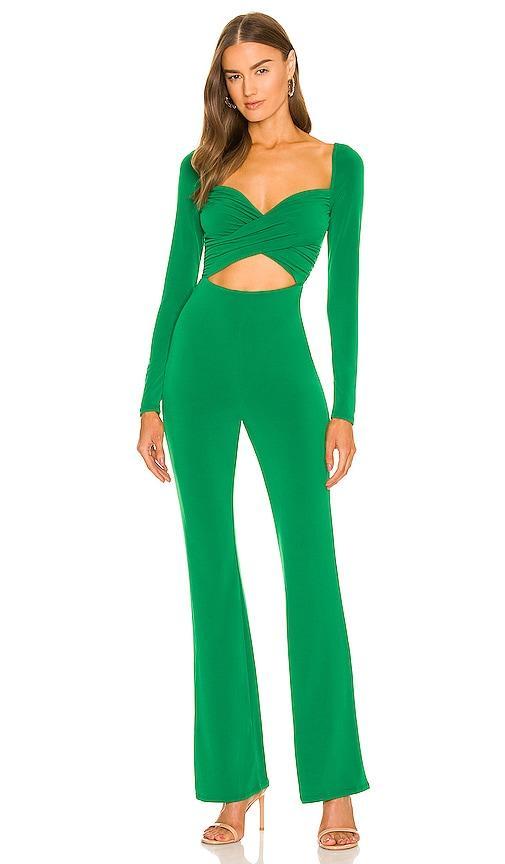 x REVOLVE Jane Jumpsuit Product Image