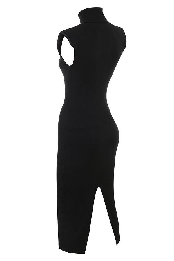 Gaia Black Cashmere Blend Turtle Neck Midi Dress Product Image