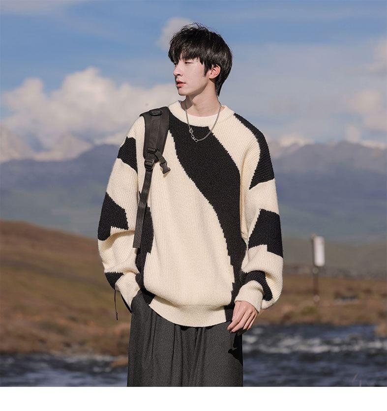 Crew Neck Patterned Sweater Product Image