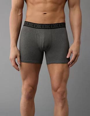 AEO Men's 4.5" Classic Boxer Brief Product Image