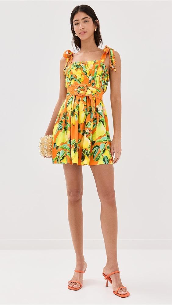 FARM Rio Orange Chic Pears Mini Dress | Shopbop Product Image