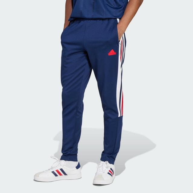 adidas House of Tiro Nations Pack Pants Team Navy Blue 2 M Mens Product Image