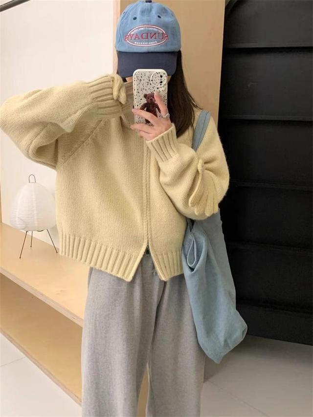 Plain Zip-Up Crop Knit Hoodie Product Image