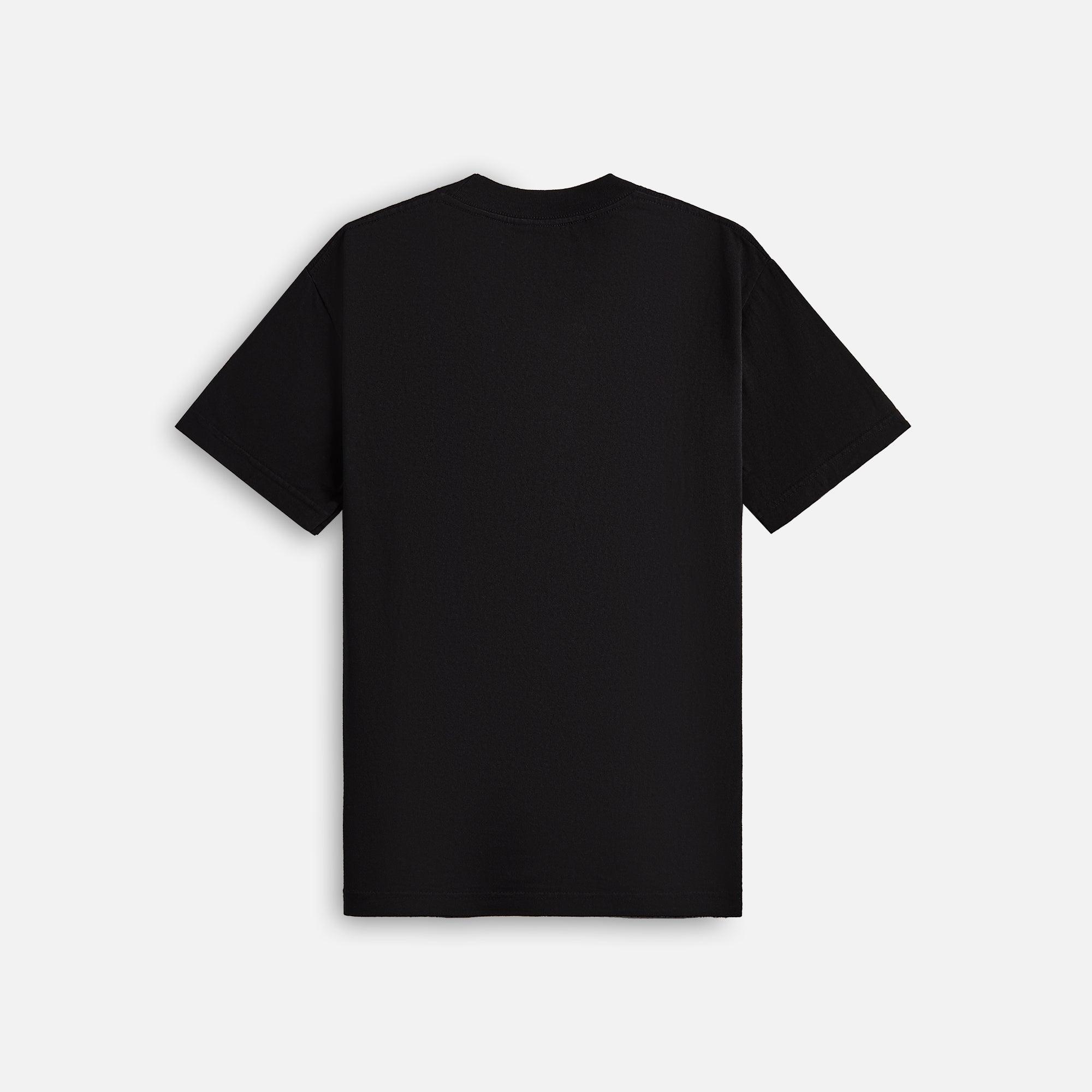 Awake NY Les Ny Tee - Black Male Product Image