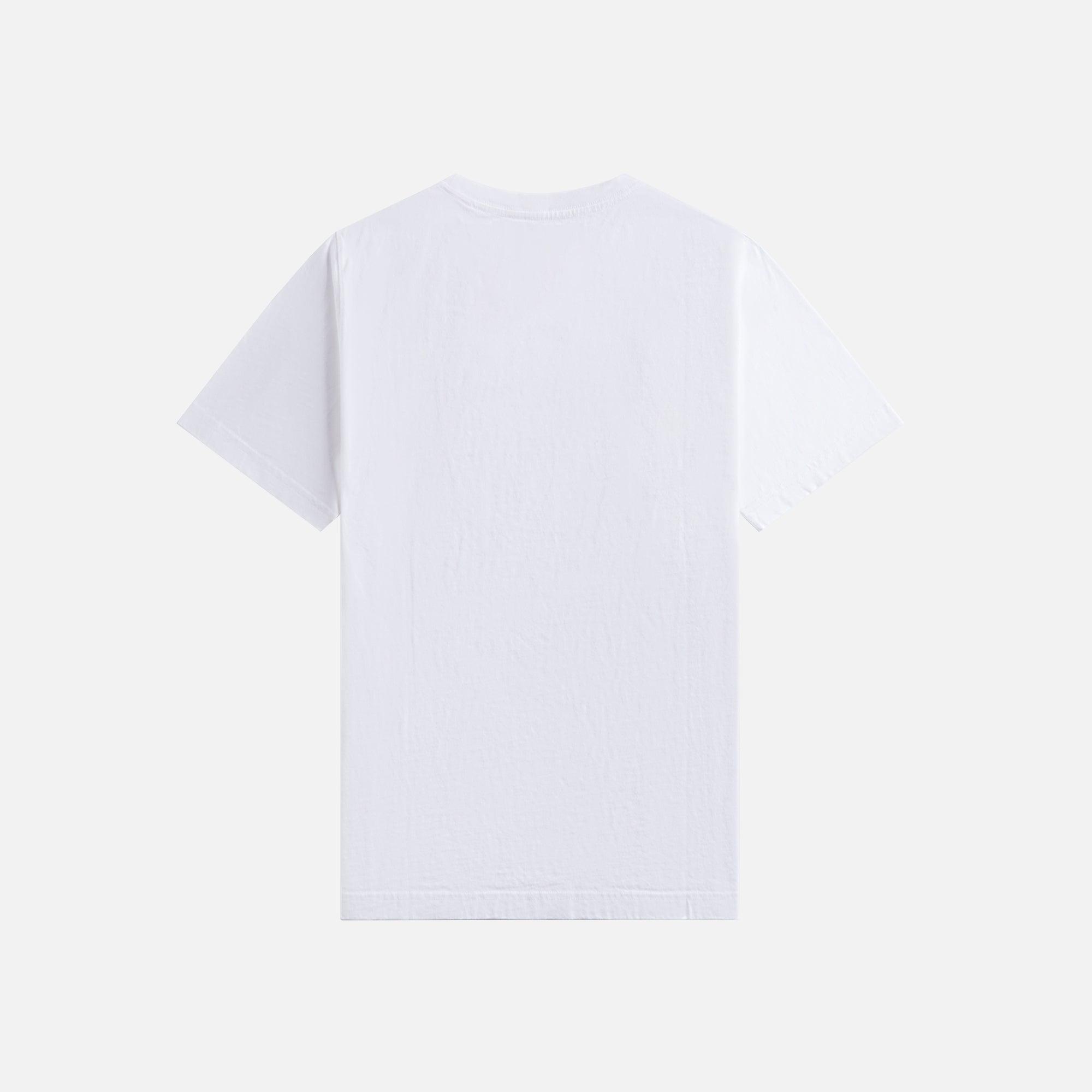 Maharishi Fossil Dragon Tee - White Male Product Image