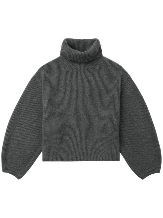 roll-neck sweater  Product Image