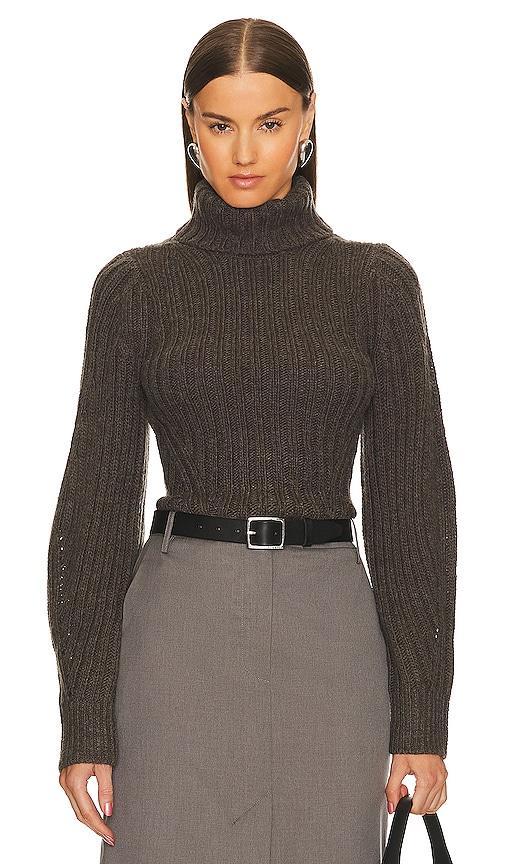 Janine Turtleneck Sweater product image