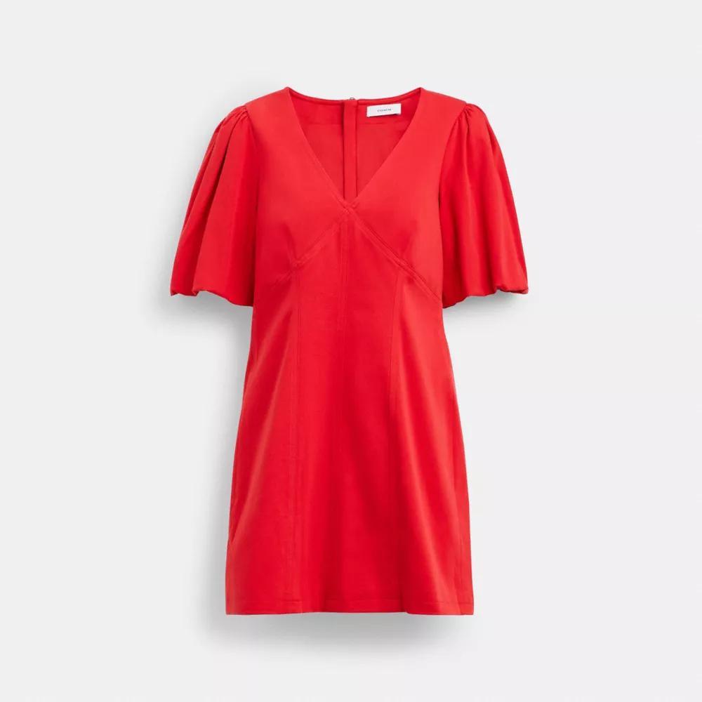 Puff Sleeve Dress Product Image