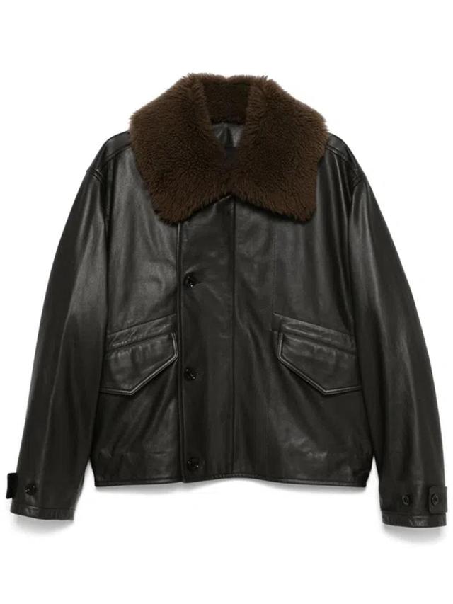 Leather Padded Jacket In Brown Product Image