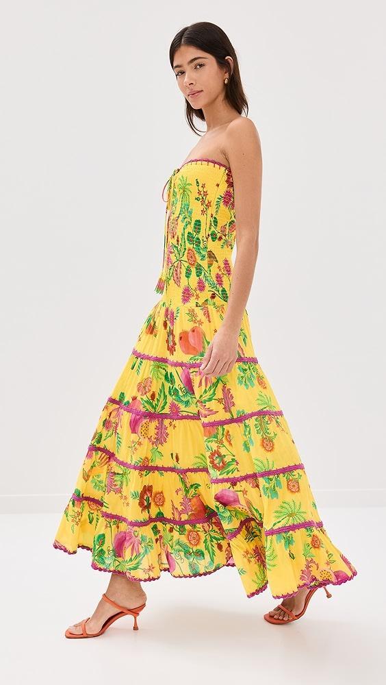 FARM Rio Delicate Fruit Garden Yellow Smocked Maxi Dress | Shopbop Product Image