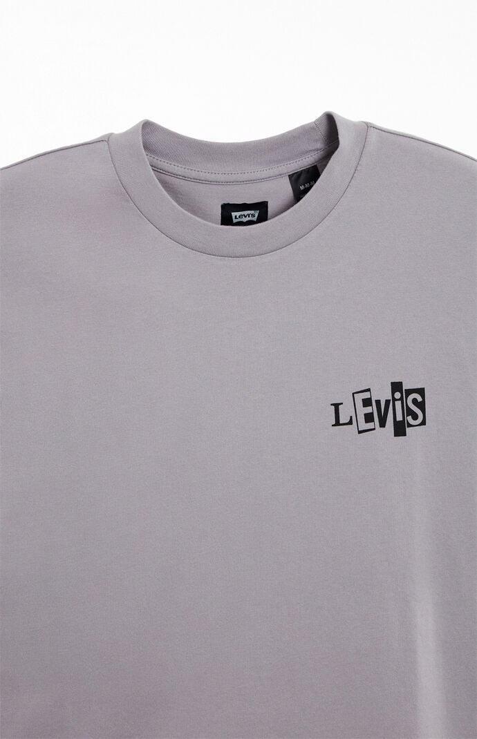 Levi's Men's Skate Graphic Boxy T-Shirt - Product Image