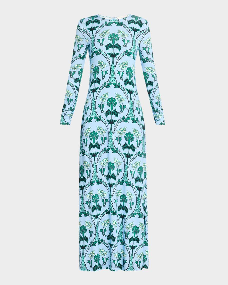 Danae Printed Long-Sleeve Maxi Dress product image