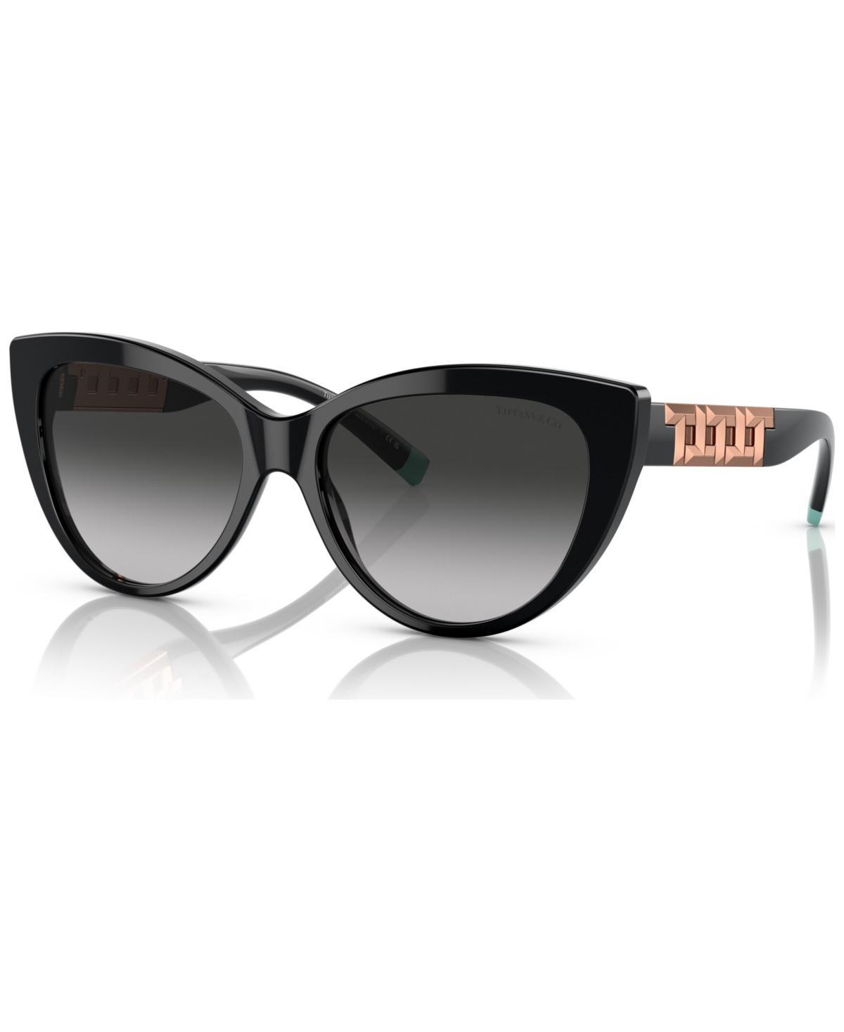 Tiffany & Co Women's Tf4196 Sunglasses, Large Product Image