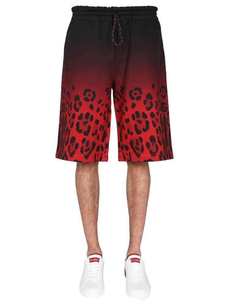 Bermuda With Leopard Print In Multi Product Image