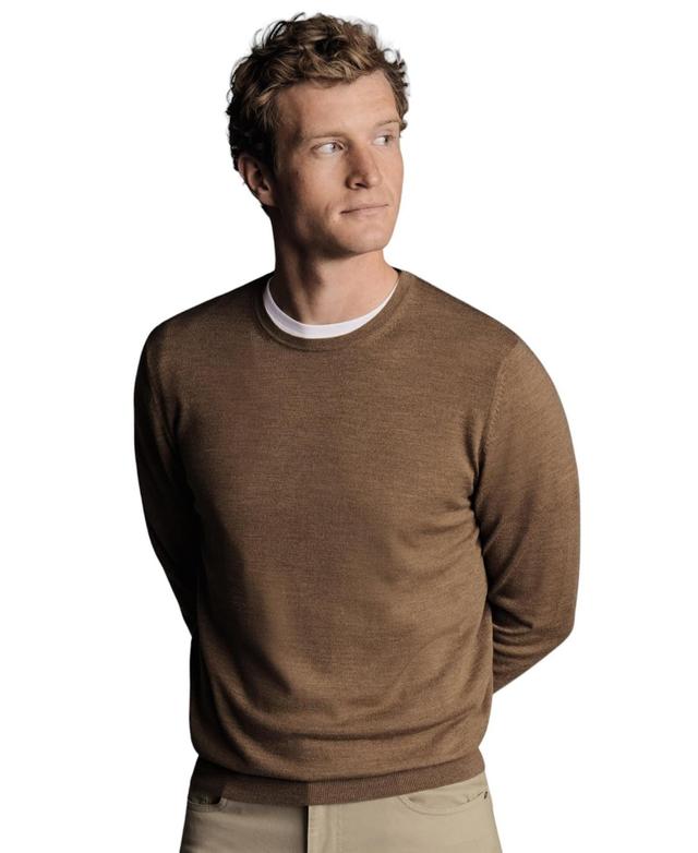 Charles Tyrwhitt Mens Pure Merino Crew Neck Sweater Product Image