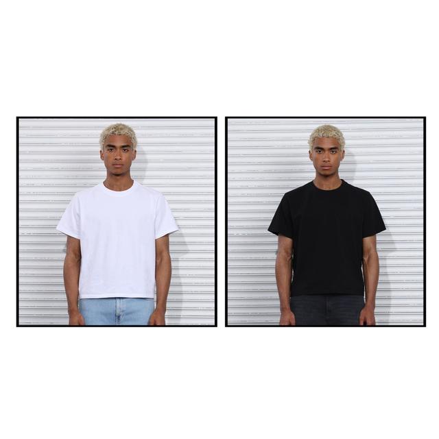 2-Pack | The Silverlake Crop Tee II Product Image